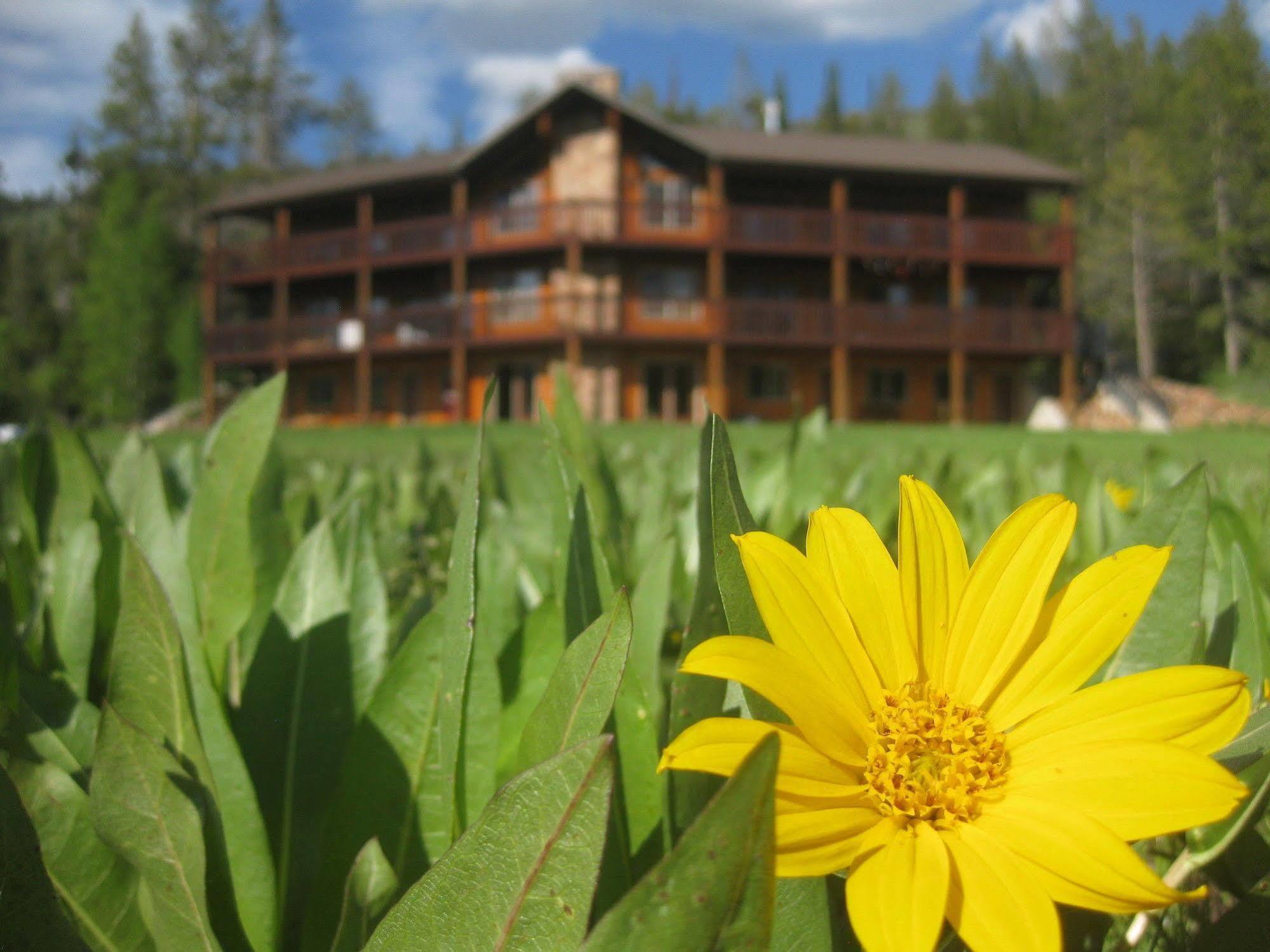 Beaver Creek Lodge Logan Exterior foto